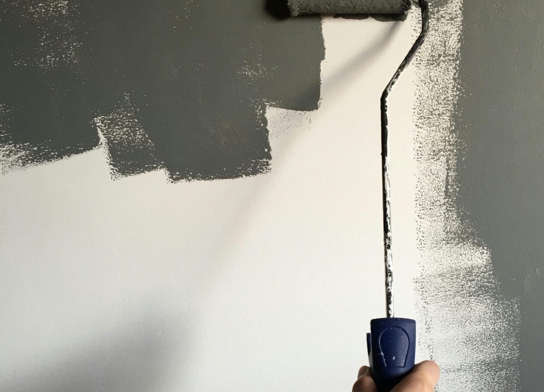 pexels-muffinsaurs-994164