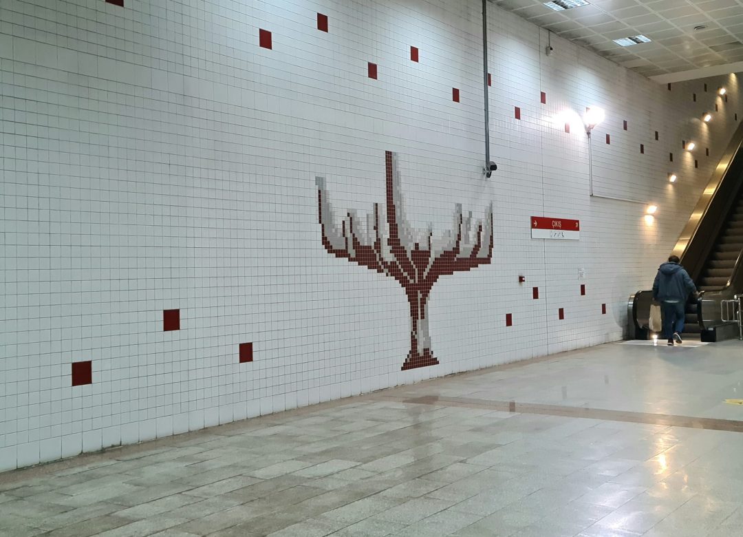 sapiens-zjqu6HQjQ-M-unsplash